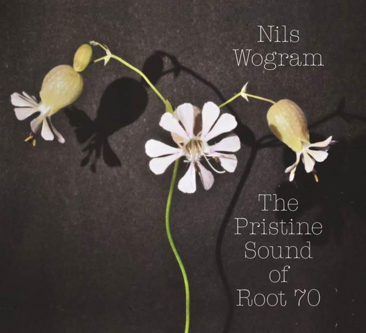 Nils Wogram 